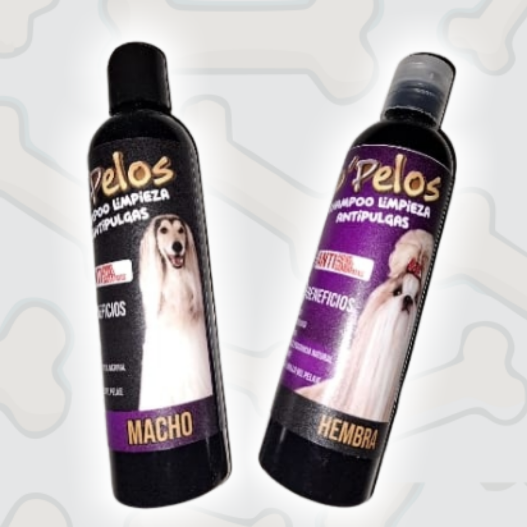 mascotas-con-estilo-imagen